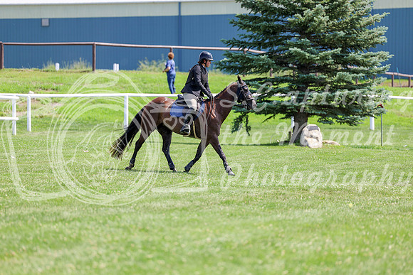 2025 - Shea - Teesdale - Thursday July 24th - 00898