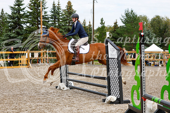2025 - Haylee - Picco Horse Show - Saturday July 26th 01758