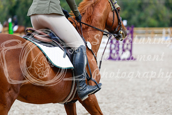 2025 - Haylee - Picco Horse Show - Saturday July 26th 06076