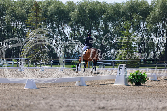 2025 - Dressage Festival - Saturday July 5th - 02354