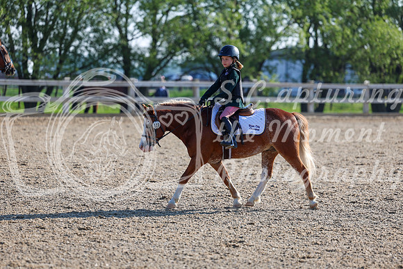 2025 - Dressage Festival - Saturday July 5th - 00034