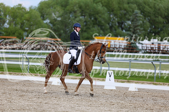 2025 - Dressage Festival - Saturday July 5th - 11855