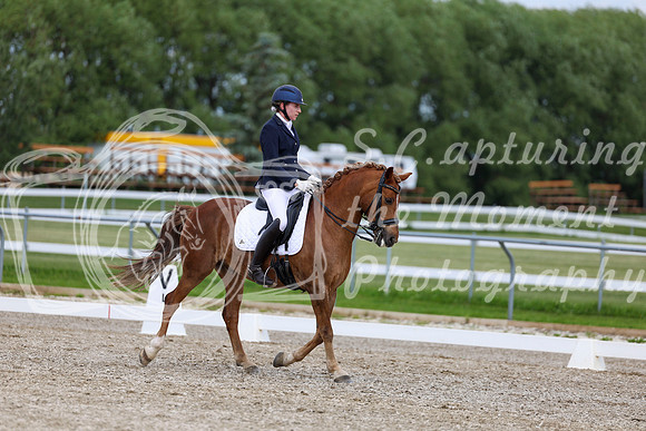 2025 - Dressage Festival - Saturday July 5th - 11861
