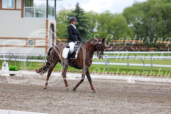 2025 - Dressage Festival - Sunday July 6th - 09576