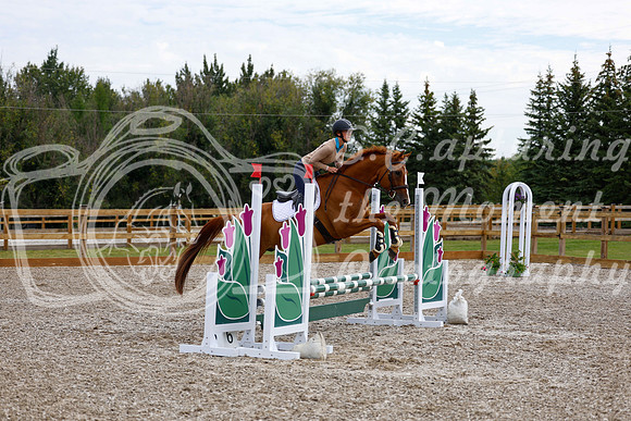 2025 - Haylee - Picco Horse Show - Saturday July 26th 01619