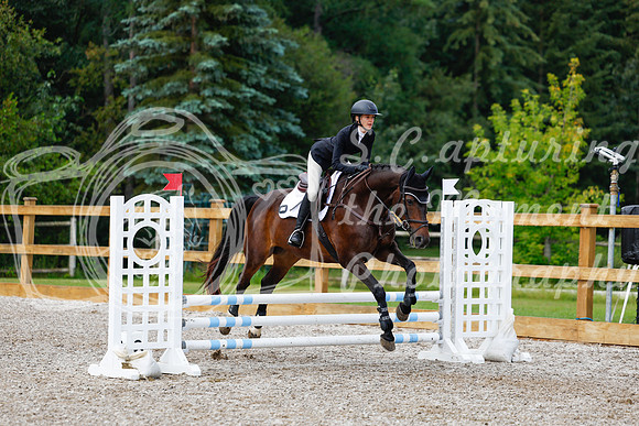 2025 - Haylee - Picco Horse Show - Sunday July 27th 02097
