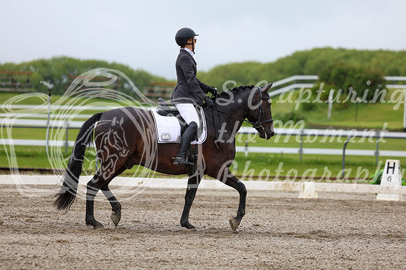 2025 - Dressage Festival - Sunday July 6th - 04548