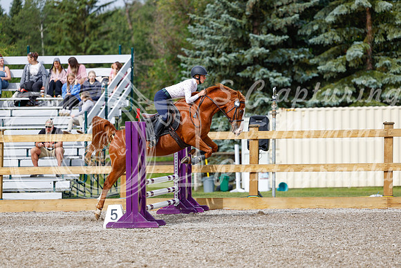 2025 - Haylee - Picco Horse Show - Friay July 25th 00909