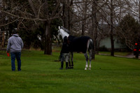 2025 - Shea - Bow Valley II - Thursday May 15th - 00016