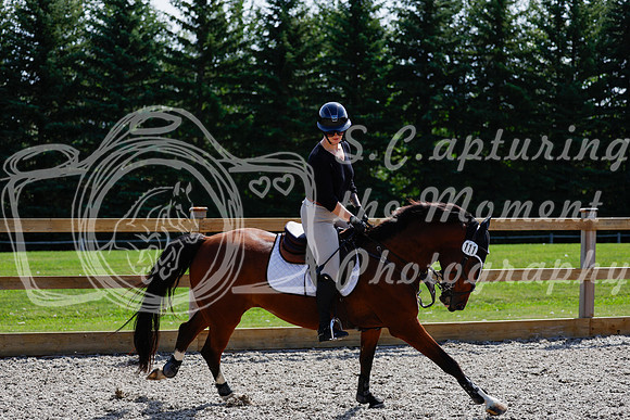 2025 - Haylee - Picco Horse Show - Thursday July 24th 02258