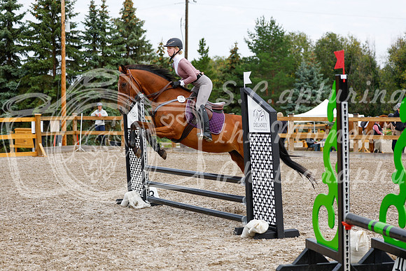 2025 - Haylee - Picco Horse Show - Saturday July 26th 01685