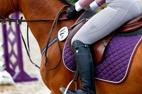 2025 - Haylee - Picco Horse Show - Saturday July 26th 01672