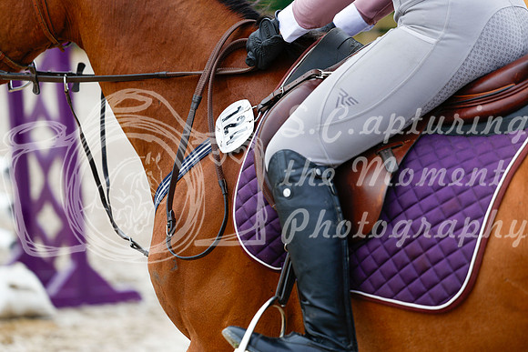 2025 - Haylee - Picco Horse Show - Saturday July 26th 01672