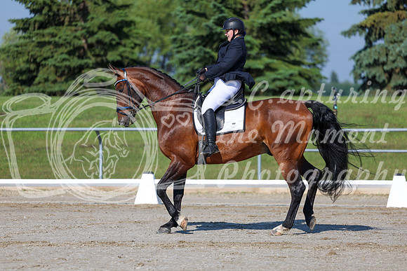 2025 - Dressage Festival - Saturday July 5th - 01050