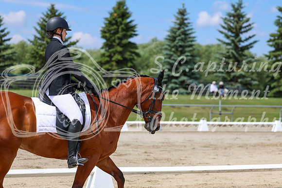 2025 - Dressage Festival - Saturday July 5th - 07289