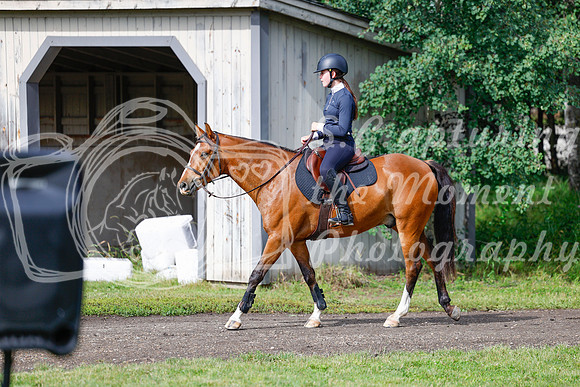 2025 - Haylee - Picco Horse Show - Friay July 25th 00763