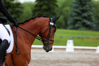 2025 - Dressage Festival - Sunday July 6th - 07228