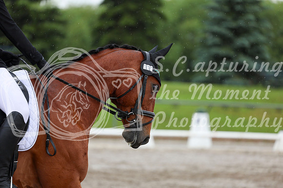 2025 - Dressage Festival - Sunday July 6th - 07228