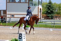 2025 - Dressage Festival - Saturday July 5th - 06354