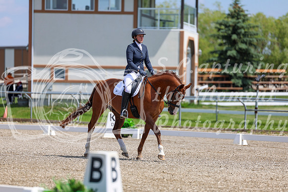 2025 - Dressage Festival - Saturday July 5th - 06354