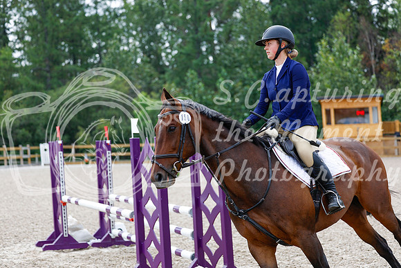 2025 - Haylee - Picco Horse Show - Saturday July 26th 03779
