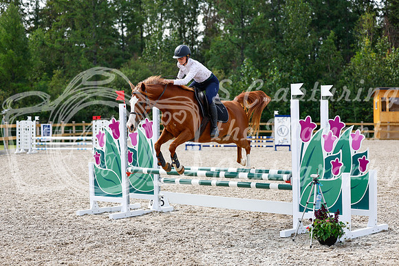 2025 - Haylee - Picco Horse Show - Thursday July 24th 01593