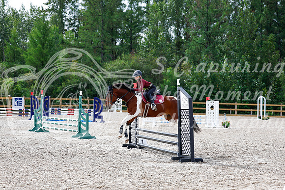 2025 - Haylee - Picco Horse Show - Friay July 25th 00861