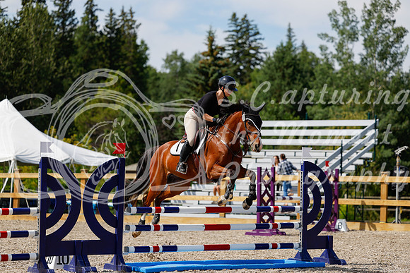 2025 - Haylee - Picco Horse Show - Thursday July 24th 02246