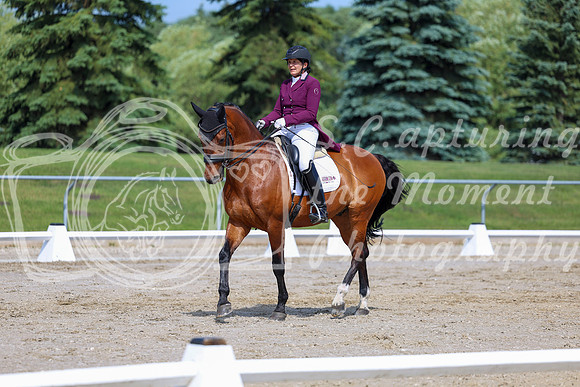 2025 - Dressage Festival - Saturday July 5th - 03208
