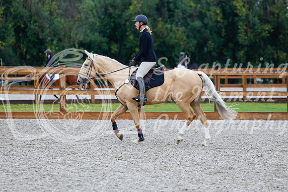 2025 - Haylee - Picco Horse Show - Sunday July 27th 00448