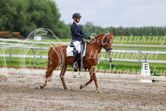 2025 - Dressage Festival - Sunday July 6th - 12218