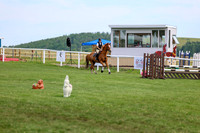 2025 - Shea - Teesdale - Thursday July 24th - 04264