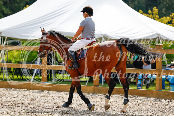 2025 - Haylee - Picco Horse Show - Saturday July 26th 08206