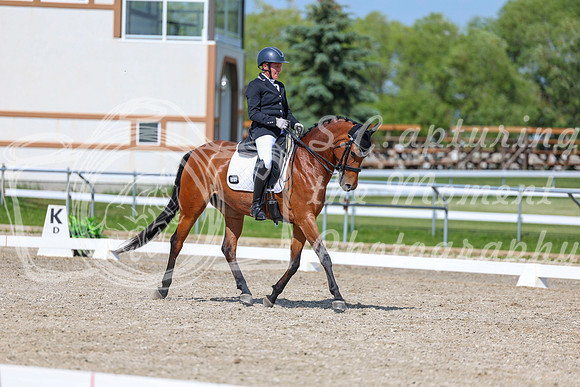 2025 - Dressage Festival - Saturday July 5th - 15511