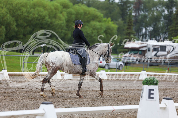 2025 - Dressage Festival - Sunday July 6th - 02146