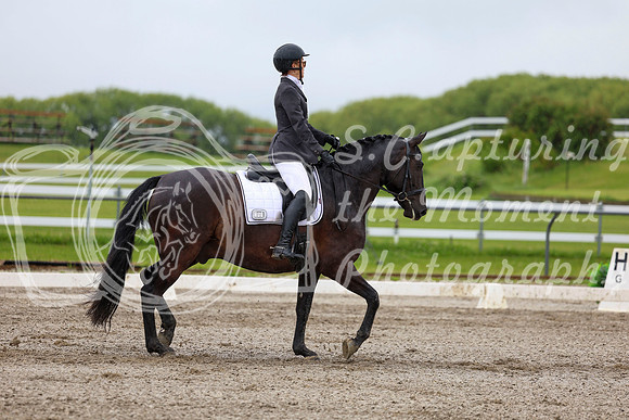 2025 - Dressage Festival - Sunday July 6th - 04547