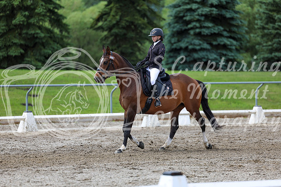 2025 - Dressage Festival - Sunday July 6th - 14410