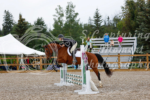2025 - Haylee - Picco Horse Show - Sunday July 27th 00470