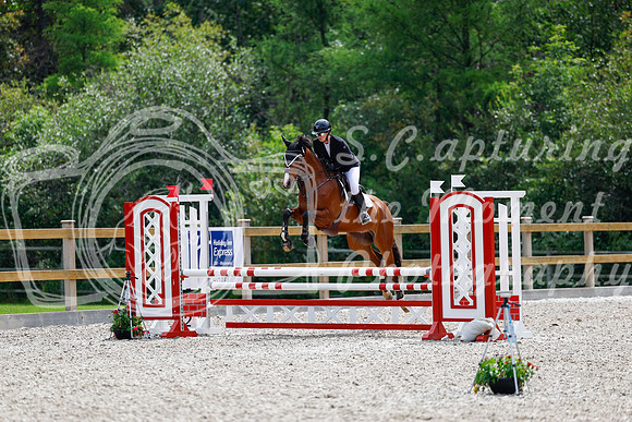 2025 - Haylee - Picco Horse Show - Sunday July 27th 03945