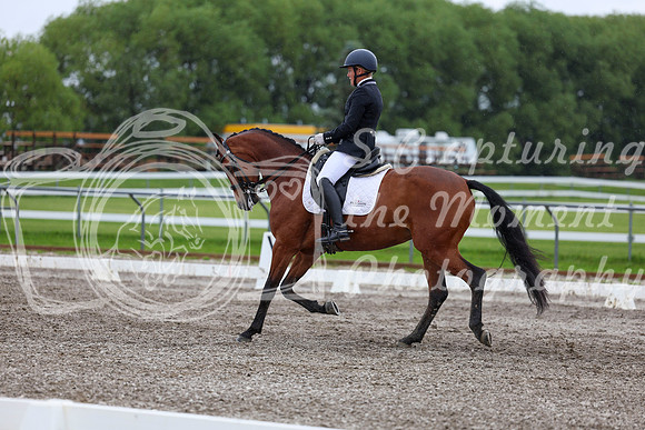 2025 - Dressage Festival - Sunday July 6th - 06581