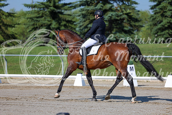 2025 - Dressage Festival - Saturday July 5th - 01057