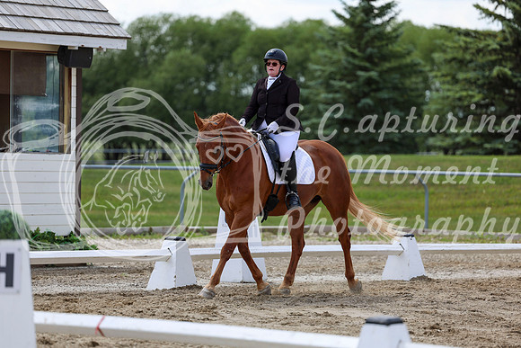 2025 - Dressage Festival - Saturday July 5th - 09609