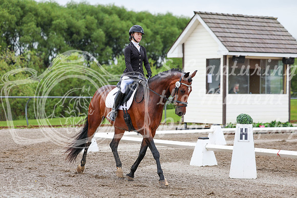 2025 - Dressage Festival - Sunday July 6th - 00821