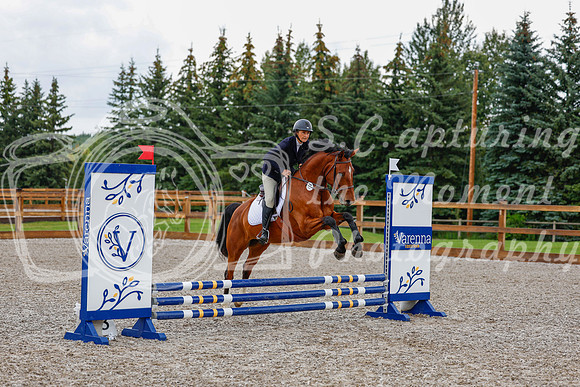 2025 - Haylee - Picco Horse Show - Sunday July 27th 00481
