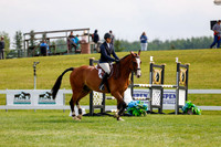 2025 - Haylee - Jump With Hope - Saturday July 19th 07616