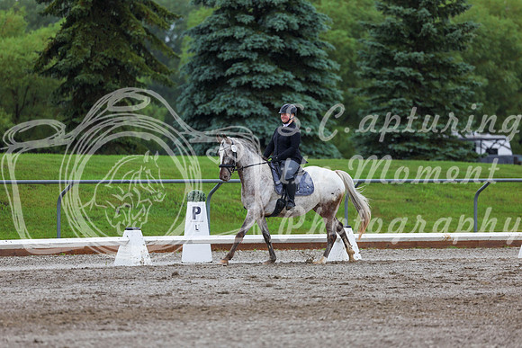2025 - Dressage Festival - Sunday July 6th - 02163