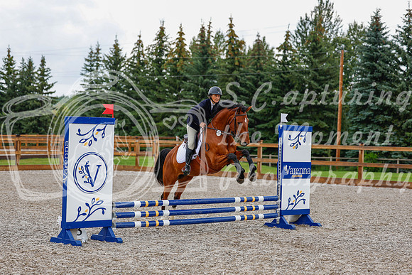 2025 - Haylee - Picco Horse Show - Sunday July 27th 00480
