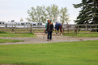 2025 - Shea - Bow Valley II - Friday May 16th - 00064