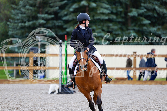 2025 - Haylee - Picco Horse Show - Sunday July 27th 00505
