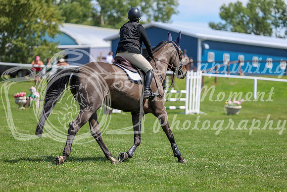 2025 - Shea - Teesdale - Thursday July 24th - 01351
